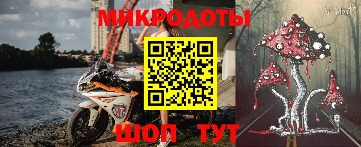 Курчалой  Галлюциногенные грибы Magic Shrooms  Псилоцибиновые грибы мицелий  Вход с VPN 